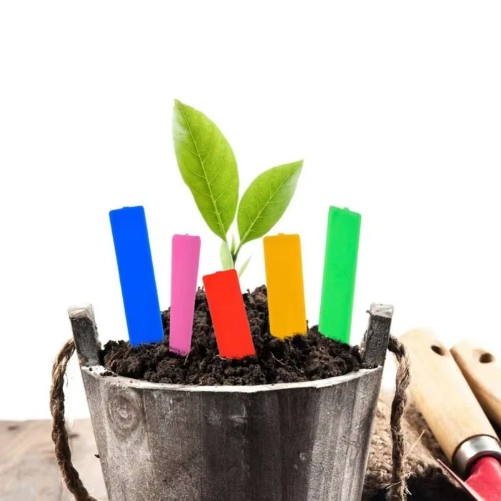 Gardening Tools Labeled - 100Pcs Plastic Material Plant Tags 5*1cm