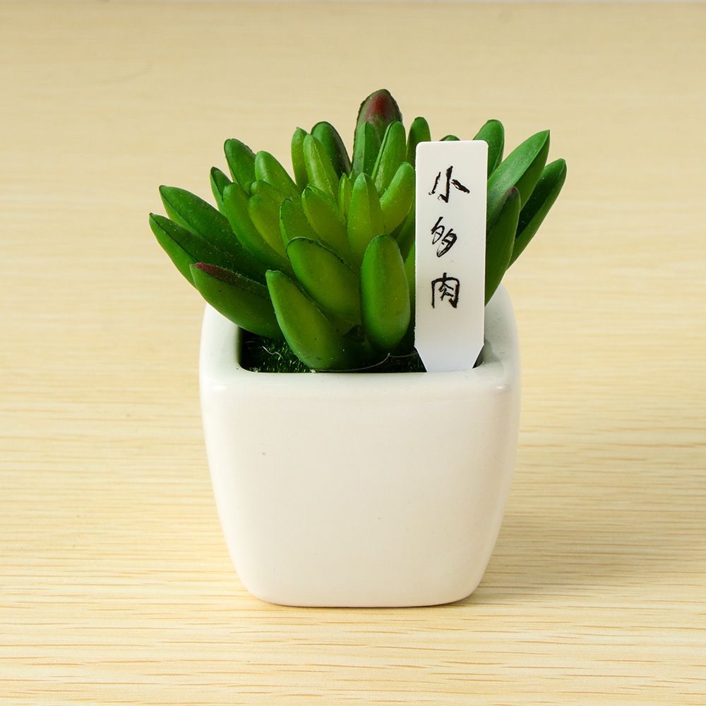 100Pcs Mini Plastic Plant Seed - Gardening Tools Labeled ulasan dan harga