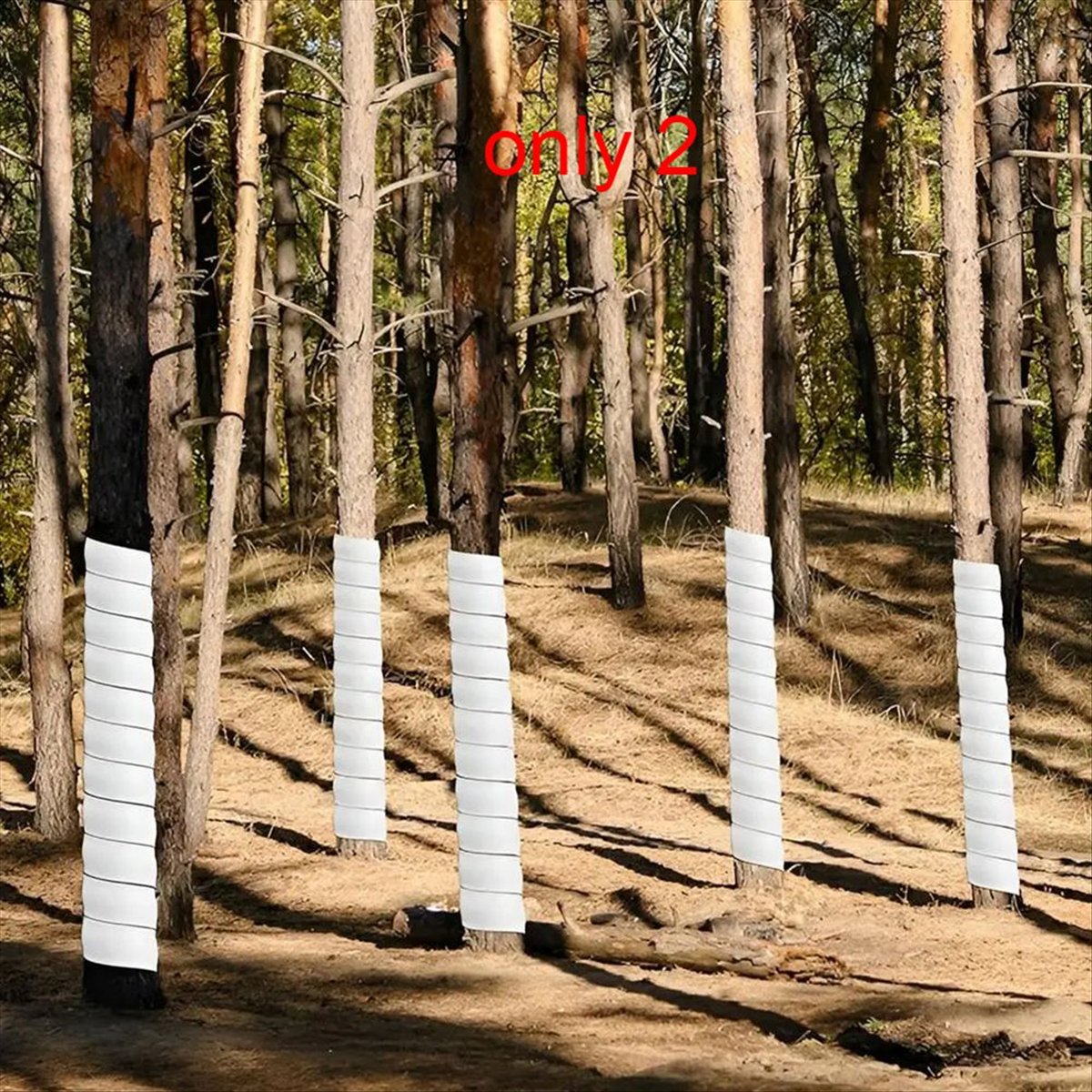 A75K Plant Tree Trunk Protecto - Gardening Tools B&M ulasan dan harga