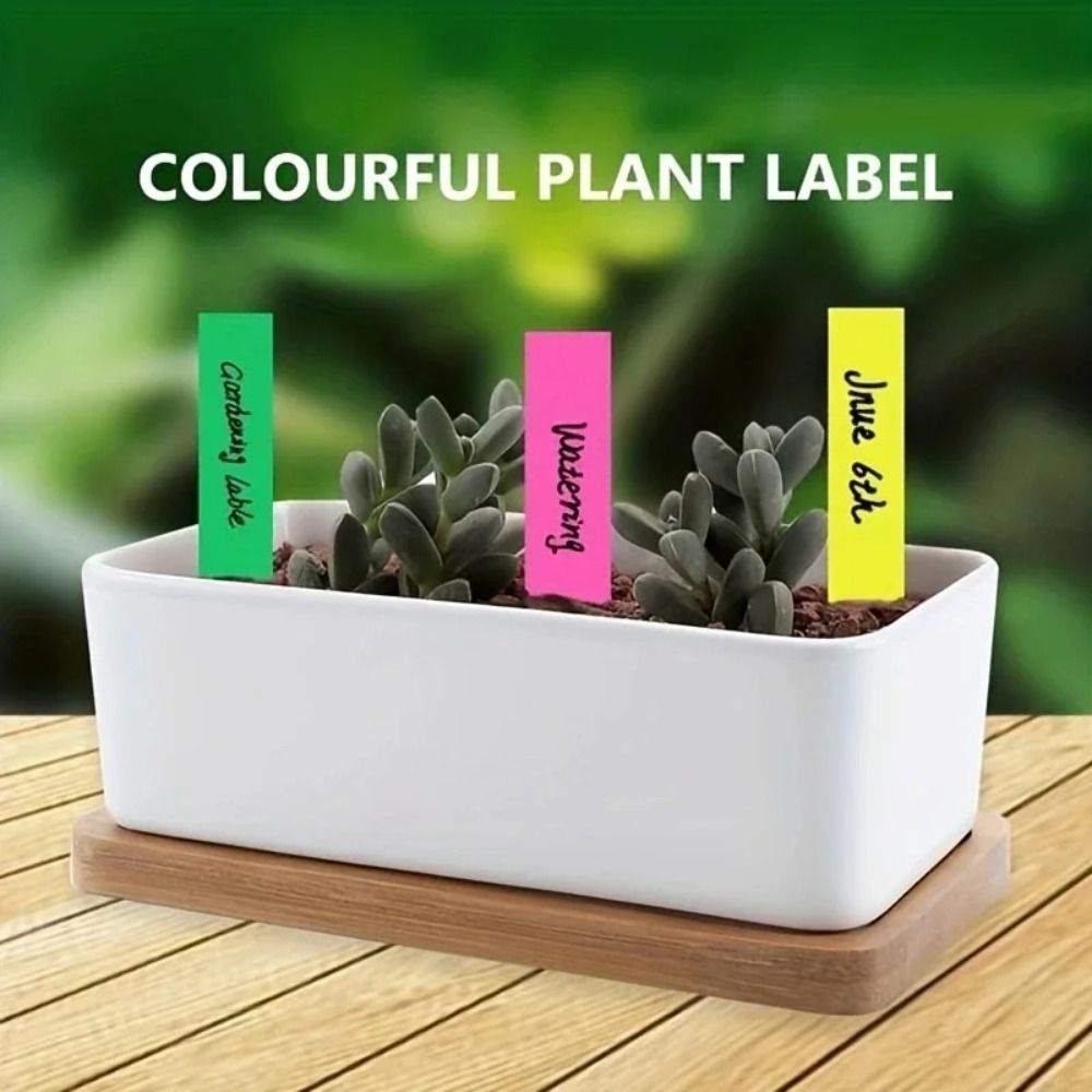 100Pcs Plastic Material Plant  - Gardening Tools Labeled ulasan dan harga