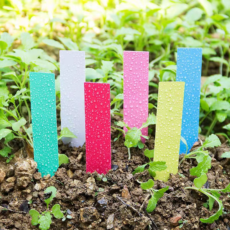 100Pcs Garden Plant Labels Pla - Gardening Tools Labeled ulasan dan harga