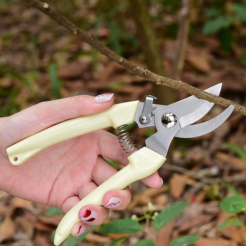 Labor‑Saving Garden Pruning Sh - Gardening Yard Tools ulasan dan harga