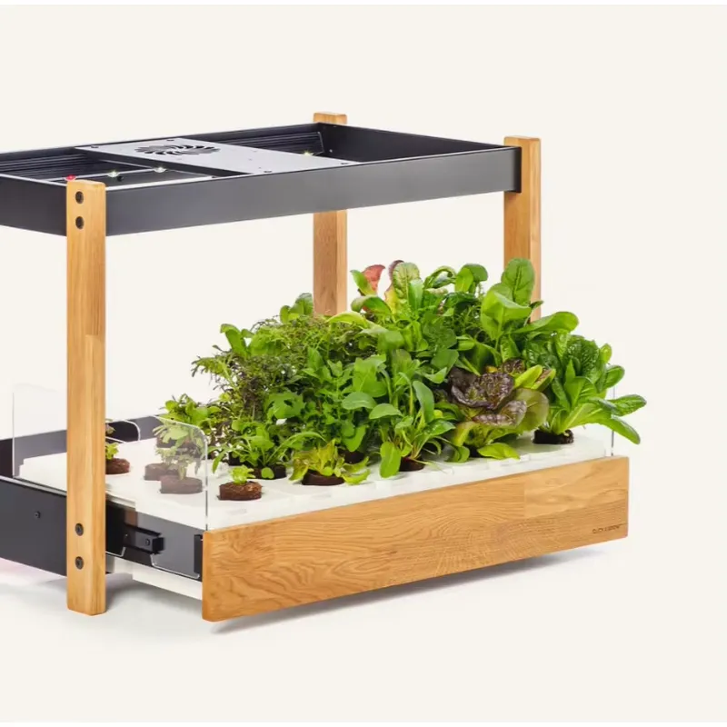 Hot Sale Heirloom Vegetable 27 - Gardening Tools Kit For Sale ulasan dan harga