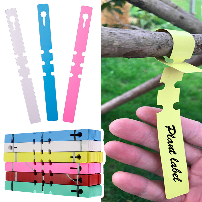 100pcs Waterproof Plant Marker - Gardening Tools Labeled ulasan dan harga
