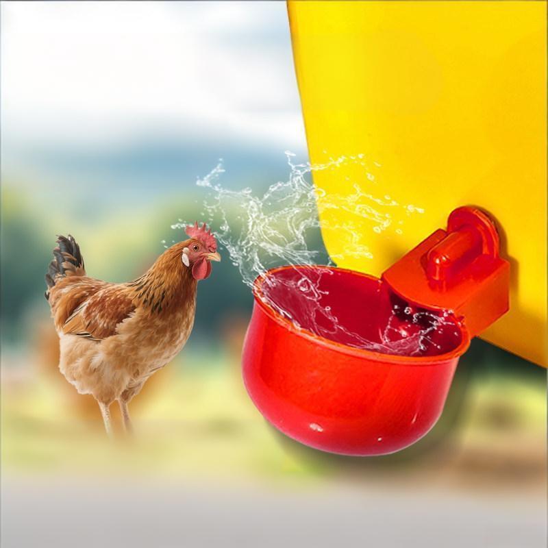 * 10/20Pcs Chicken Duck Drinki - Fertilizer Dispenser ulasan dan harga