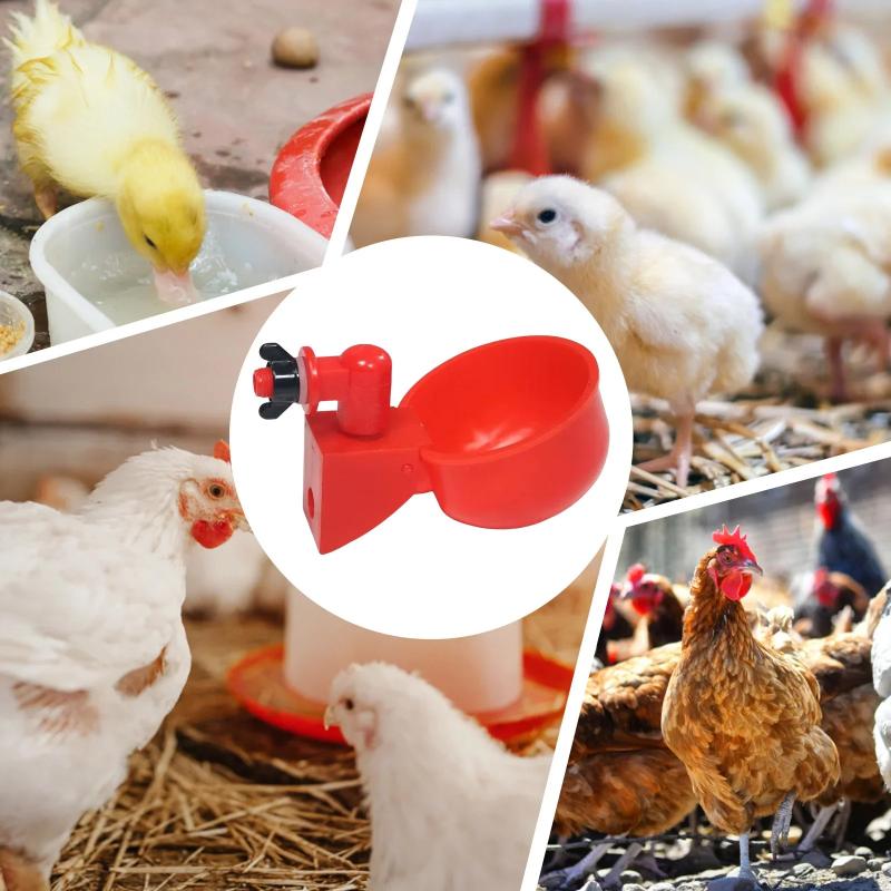 * 10/20Pcs Chicken Duck Drinki - Fertilizer Dispenser ulasan dan harga