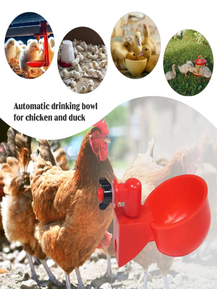 * 10/20Pcs Chicken Duck Drinki - Fertilizer Dispenser ulasan dan harga
