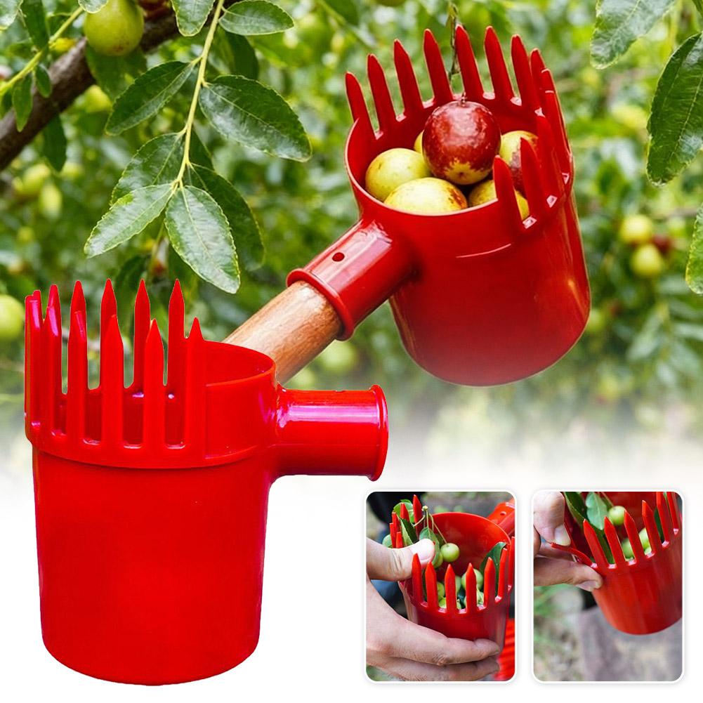 Fruit Picker Tool Portable Bas - Gardening Yard Tools ulasan dan harga