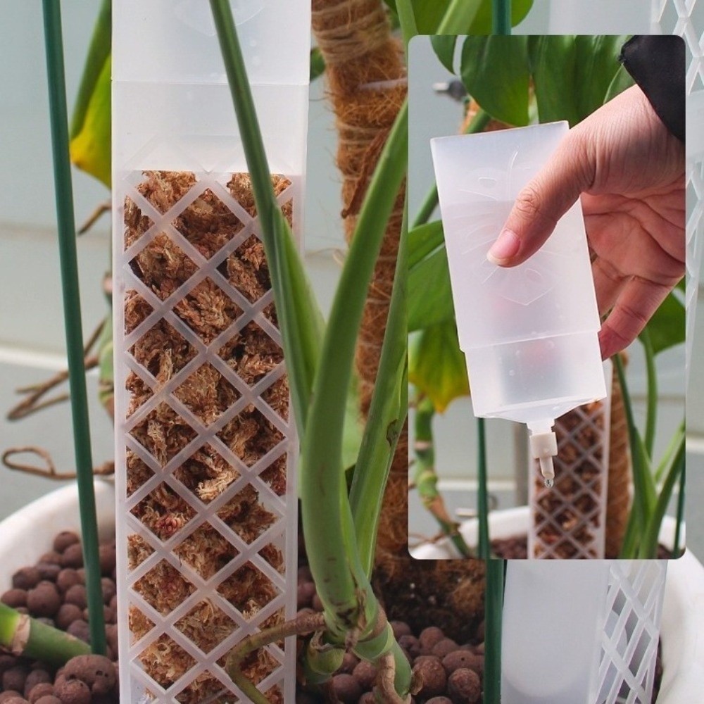 D-Shaped Self-Watering Plant D - Automatic Plant Waterer ulasan dan harga