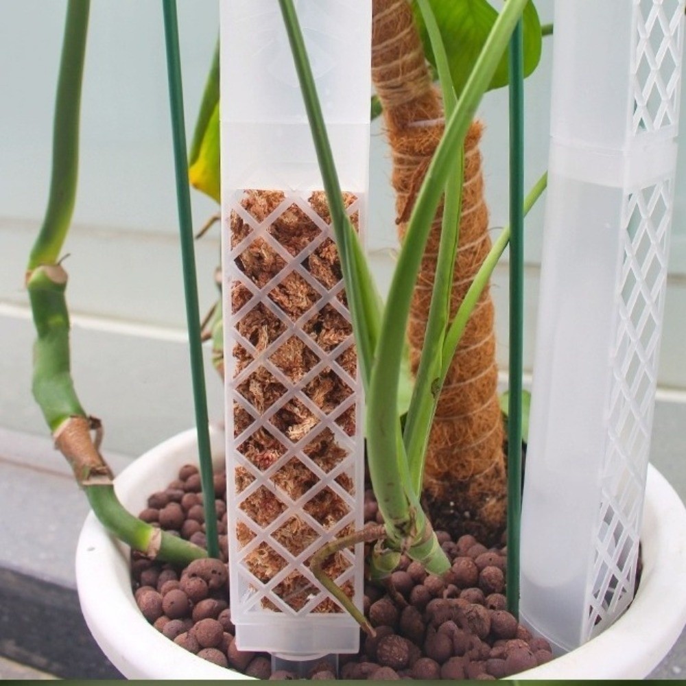 D-Shaped Self-Watering Plant D - Automatic Plant Waterer ulasan dan harga