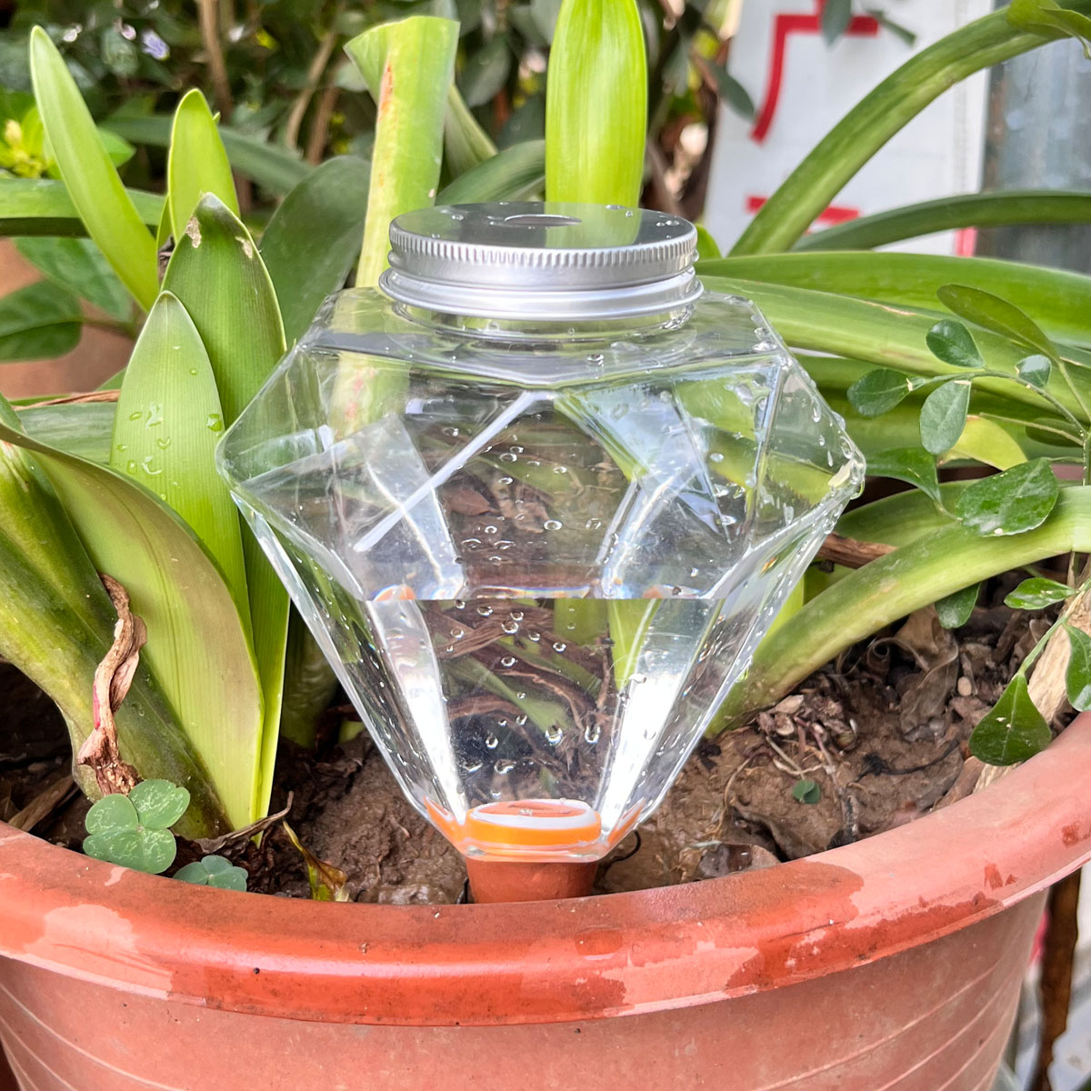 1pcs Cute Plastic Watering Mac - Automatic Plant Waterer ulasan dan harga