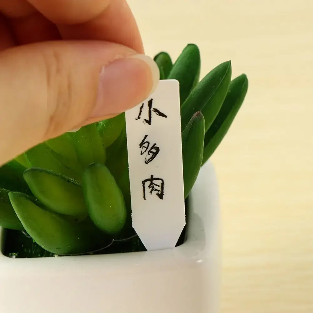 100Pcs Reusable Classification - Gardening Tools Labeled ulasan dan harga