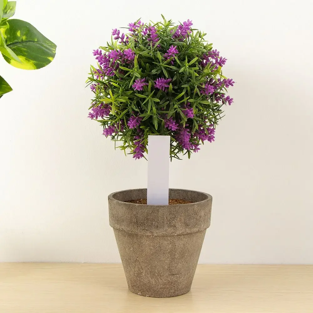 100Pcs Reusable Classification - Gardening Tools Labeled ulasan dan harga
